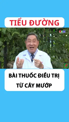 Bài Thuốc Tri Tiểu Đường Từ Cây Mướp #suckhoe #suckhoechomoinguoi #tieuduong #duonghuyet #insulin #nguyencongduc #yhoccotruyen #baithuocdangian #baithuochay #tiktok