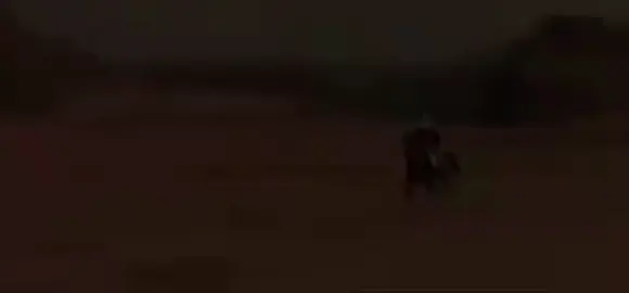 #الطيب 