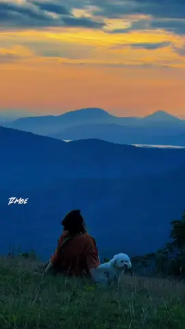 #ငါပိုင်တာအချစ်အချစ်ပဲရှိတယ်😇🥀❤ #yu #ယုဝေဖြိုး #coversong #foryou #foryoupage #fypシ #overlaylyrics #myanmartiktoksong #myanmarsadsongs #fypပေါ်ရောက်စမ်း  #lyrics #❤❤❤ #😚😚😚😚😚👌🌺💞💖❤️🌷 #