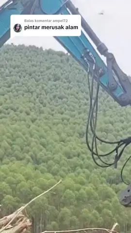 Membalas @ampel72 mulai  besok nulisnya di batu ya jangan di kertas#akasia#ekaliptus#logging#hutan#produksi#kertas 