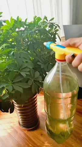 #Watering Sprayer High Pressure Air Pump Manual Sprayer Adjustable Drink Bottle Spray Head Nozzel Garden Watering Tool#foryou #tiktok #fyp 