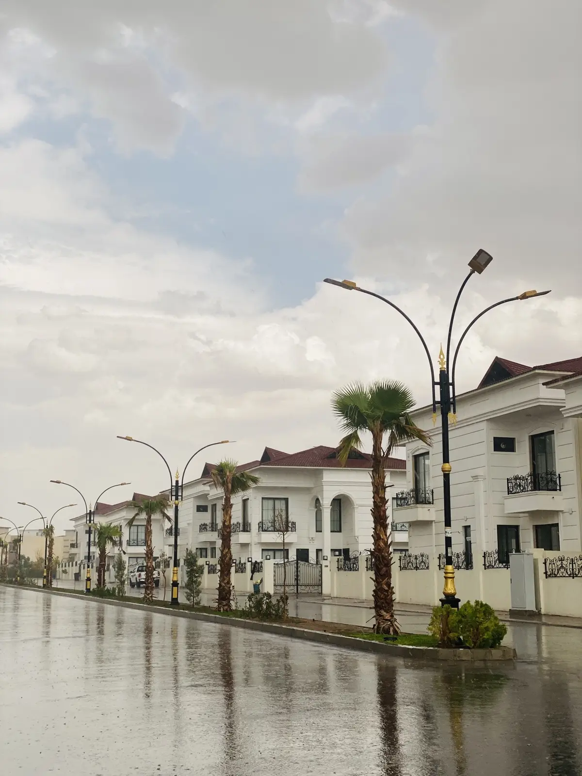 #تصويري #زيتون #بلس #الشعب_الصيني_ماله_حل😂😂 #مطر #اربيل 