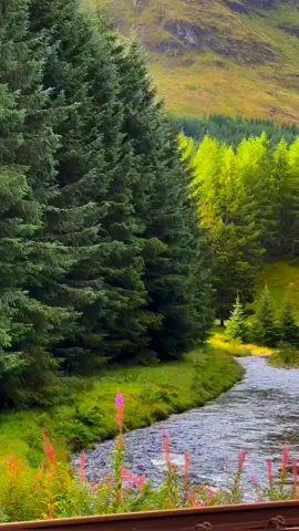 #nature #explore #fouryou #relax #travelinnature 