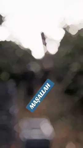 #CapCut 