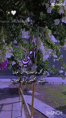 #أمي_جنتي #يانبع_الحنان 