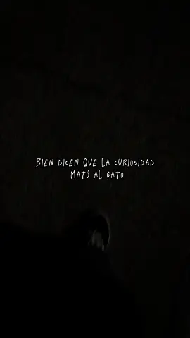 Bien dicen que la curiosidad mato al gato.. #fyp #parati #foryou #andresobregon #reflexion 