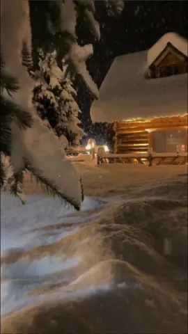 It’s snowing,what do you want to do the most?#snowy #snowyday #snowynight #snowyweather #snowycabin #snowyforest #fotestcore #snowaesthetic #nightvibe 