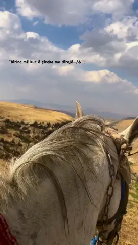 Çîroka mê dîrej ê🕊️ #kşftt #stry #kurdişh #aydn__04 