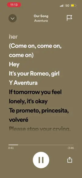 Our Song by Aventura #music #lyrics #fyp #foryoupage 