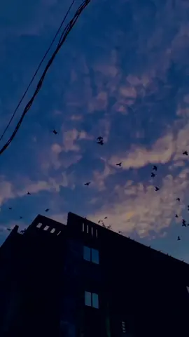 عشق آخری ہے تو  میری زندگی ہے تو  🍁🤗💞 . . . #darshanraval #song #lovesongs #foryoupage #foryou #fyp #aesthetic #lyrics #status #trending #goviral #viral #nomi_aesthetix #nomi_aesthetix 