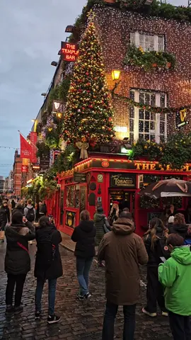 Dublin this evening 04/11/2023 ☘️🎄🍂 #irish #europe #Dublin #ireland #christmas 