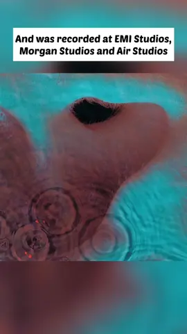 On this day in 1971 Pink Floyd’s album Meddle was released in the UK. #PinkFloyd #Meddle #FYP #AltMusic 