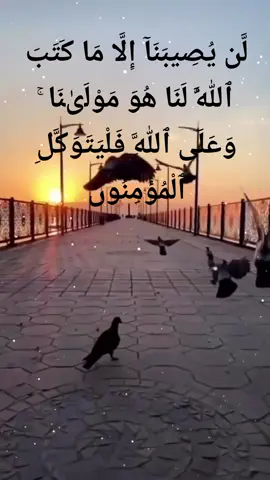 قل لن يصيبنا إلا ما كتب الله لنا بصوت جميل #قران_كريم #راحة_نفسية #capcut #viral #viralvideo #viraltiktok #حركة_أكسبلور #icsplore #fyp #foryoupage #fyp #fypシ゚viral 