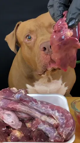Raw Feeding#asmr #viral
