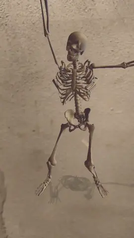 #TikTokHalloween  #parati #fyp #viraltiktok #viral #mexico #sigueme 