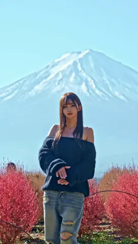 求:ライト🔦 転んだあとのデニムって言った人、あとでお話があります。 #trending #trend  #fyp #fypシ #おすすめ 