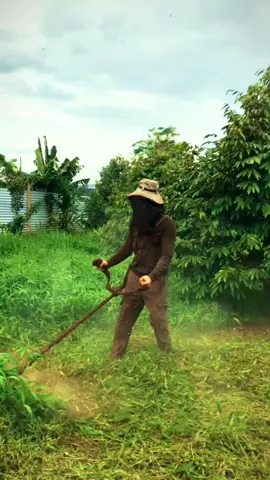 nghe tiếng đập cỏ là khoái . #phatco 