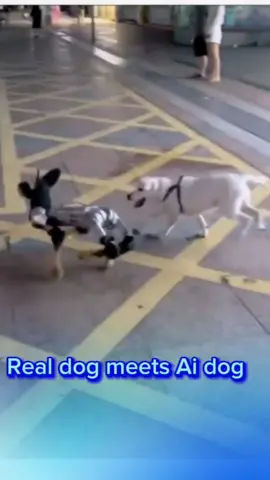 See this dog's reaction after meeting an AI version of himself 😂 . . . #ai #artificialintelligence #Tech #technology #dog #robot #pets #pets#AI#robot 