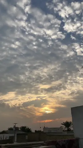 احلى موسيقى بالدنياا 🤎✨ #غيوم #غروب #هدوء_الليل #سنوات_الضياع #مسلسلات_تركية #طير 