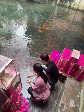 🙏🏻🙏🏻🙏🏻