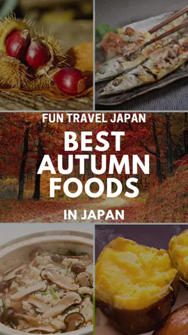 Best Autumn Foods in Japan #japantravel #japanthings #japanesefood #autumn 