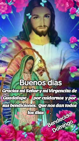 #CapCutMotivacional #parati #paratiktok #Motivacional #CapCut #virgendeguadalupe #intercedeantediosportodosnosotros #morenitadeltepeyac❤️ #protejenos #bendicenos #buenosdias #bendecidodia #amen #diosnuestroseñor🙏 