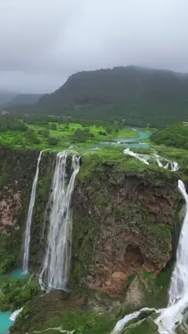 #اللهم_اغفر_للمؤمنين_والمؤمنات #دعاء #امين #ياسر_الدوسري #اكسبلورexplore #أكسبلور #foryou #fyp 