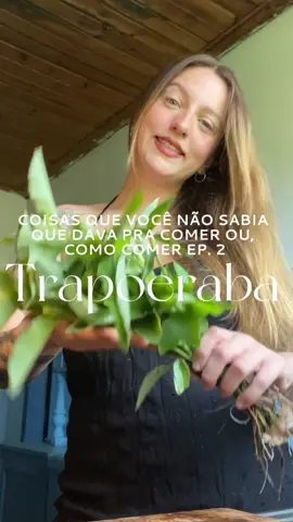TRAPOERABA! Um matinho MUITO difícil de ser vencido, porém, pra nossa felicidade, seu sabor é delicioso! Lembra Ora Pro Nobis misturada com Espinafre, e preparada dessa forma da um ótimo Crisp, pra você comer como snack ou para complementar algum prato cremoso ❤️ A trapoeraba comestivel é a verde, que tem essas florzinhas azuis, pode ser consumida crua com moderação, ou, cozida/assada. A trapoearaba listradinha, zebrina ou conhecida como Lambari também é comestível. A trapoeraba roxa não deve ser consumida ok?  #pancs #trapoeraba #receita #plantasalimenticiasnaoconvencionais #fy #foryou 