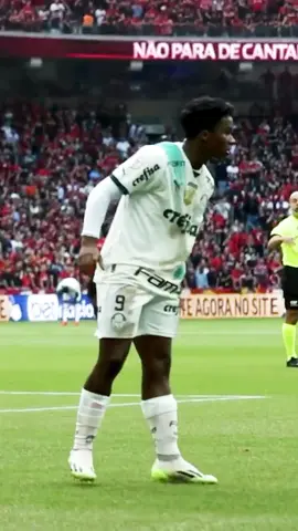 Os dois primeiros gols como profissional e mais um em cada turno no Brasileiro deste ano. #Endrick já marcou quatro vezes contra o Athletico-PR. Bora rever os gols 👇 #TikTokEsportes #Palmeiras