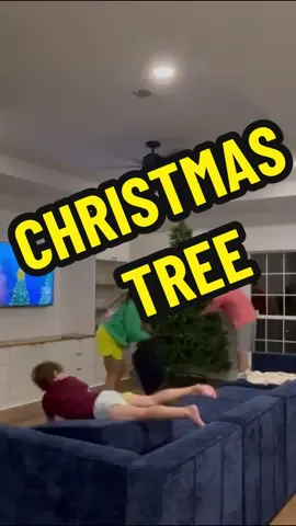 Yay lets put up our Christmas Tree! 🎄