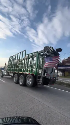 #trucking #logtruck 
