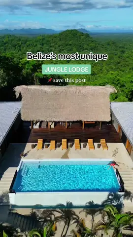Tag someone you’d stay here with! 💫 Copal Tree Lodge is one of Belize’s most unique luxury eco-lodges situation in the Belizean jungle.  Here is everything you need to know about Copal Tree Lodge:  🌱 Private Infinity Pool for those staying in the Canopy Suites 🌱 All inclusive packages available  🌱 Located on the Rio Grande River and just a short boat ride from the Caribbean Sea 🌱 Farm to table restaurant 🌱 Fitness centre and yoga palapa  🌱 Spa 🌱 Kayaks and bikes for guests  🌱 Surrounded by a 12,000 Acre Nature Reserve with Hiking Trails 🌱  Funicular for guests to go up to their rooms and down to the river is a whole experience in itself 🌱 Sustainability focused hotel: preserving heirloom crops that are grown on their 3000 acre organic farm, sustainable seafood served at the farm to table restaurant. They also plant thousands of trees annually and are mindful not to use single use plastics in the resort. About the location in Punta Gorda: 🌱 This is a very unique and untouched region in Belize, perfect for those who want to explore more off the beaten path destinations.  🌱There are ancient Mayan archaeological sites to be discovered in this area.  🌱It’s also close to the Rio Blanco National Park where you will find a beautiful waterfall.  🌱 This region is where you can be welcomed into the home of a Mayan family who will show you their traditional ways to cooking, farming, and how they build their homes. It’s a very culturally enriching experience. Do you have any questions for us about this hotel or region in Belize? Let us know in the comments. . . . . #travelbelize #belize #centralamerica #adventuretime #dreamvacation #caribbean #beautifuldestinations #copaltreelodge #ecolodge #PlacesToVisit #belizevacation #jungle #explorebelize #belizetravel #junglevacation #puntagordabelize