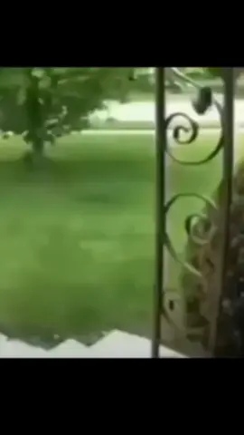 #keşfet #keşfetteyizzz #yusuftekinistifa #kamerayaküfüredenarı 