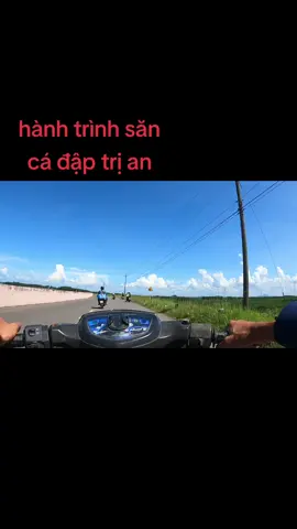 câu cá đập trị an #suhuongtiktok2023❤️❤️ 