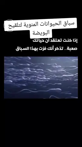 #حيوانات_المنوية #الانسان #نجاح #تحفيز #اكسبلور #مصر #الشعب_الصيني_ماله_حل #الرياض #jordan 