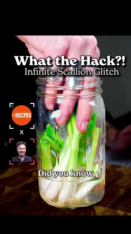 Did you know you can regrow scallions in water? 💡 Watch as @Mishka shares the secrets to regrowing scallions right in your own kitchen. Say goodbye to waste and hello to fresh greens! 😋🌱 #Whatthehack #Viral #Recipes #Scallions #Kitchenhack #Cookinghack #Hack