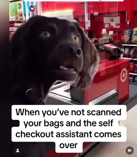 #dog #funny #trending #fyp #foryou #foryoupage 