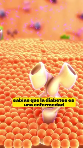 Sabes como se produce la diabetes? 🤔 Encuentra mas información en nuestro bio🖇️☝🏻 #diabetes#diabetestipo2#azucar#pancreas#salud#afecciones#enfermedes 