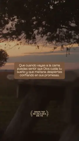 Que Dios cuide tu sueño 🙌🏽😇 #frasescristianas #evangeliodeldia #diosestaencontrol #feliznoche 