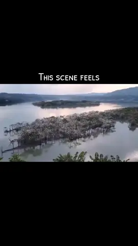 Wow. #birds #amazing #Love #view #beauty #travel #beautifulplaces  #loveit #pangasinan #philippines 