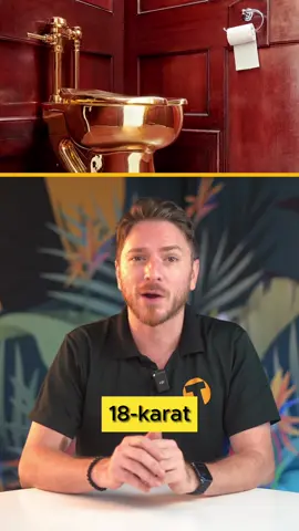 Toilet Thieves in the Hot Seat #heist#goldentoilet#mostexpensive