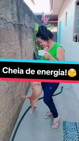 Com certeza não sou eu kkkkkkkk #fy #cheiadeenergia #viral #tiktokentregameusvideos 