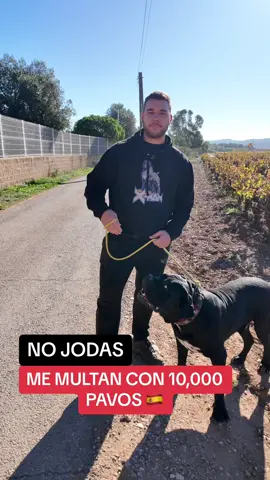 NO JODAS. ….VAYA TELA ESPAÑA #FORYOU #leyes #perros #españa🇪🇸 