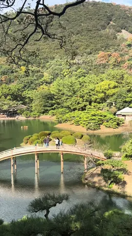 สวนริทสึริน (Ritsurin Garden) อยู่ที่จังหวัดคางาวะ (Kagawa) ภูมิภาคชิโกกุ (Shikoku) เป็น 1 ใน 3 ของสวนที่มีภูมิทัศน์สวยงามและมีชื่อเสียงที่สุดของญี่ปุ่น     เป็นสวนขนาดกว้างใหญ่ครอบคลุมพื้นที่มากถึง 750,000 ตารางเมตร มีทั้งภูเขาและสระน้ำในบริเวณสวน พร้อมด้วยภูเขาชิอุง (Shiun Mountain) สูงตระหง่านอยู่เบื้องหลัง ภายในบริเวณสวนมีสระน้ำ 6 สระและเนินเขาจำลอง 13 จุด การวางตำแหน่งของต้นสน สะพาน และการจัดวางหินต่างๆ งดงามลงตัว เหมาะจะถ่ายรูปทิวทัศน์สวยๆ เก็บไว้เป็นที่ระลึก       ภายในสวนมีต้นไม้ ดอกไม้หลายสายพันธุ์ปลูกไว้ทั่วบริเวณเช่น ต้นซากุระ ต้นบ๊วย ต้นเมเปิ้ล สวนดอกไอริส เป็นต้น โดยเฉพาะต้นสนเก่าแก่ที่มีจำนวนมากกว่า 1,000 ต้นและเป็นสวนสนโบราณที่ได้รับการดูแลอย่างดีจึงกลายเป็นเอกลักษณ์ของสวนริทสึรินสวนริทสึรินเป็นสถานที่ชมใบไม้เปลี่ยนสีที่สวยงามและมีชื่อเสียงมากแห่งหนึ่ง มีทิวทัศน์ธรรมชาติอันงดงามและเมื่อถึงฤดูใบไม้เปลี่ยนสี ต้นคาเอเดะ (Kaede) หรือต้นเมเปิ้ลสีแดงเข้มที่สลับซับซ้อนเป็นแนวจะดูราวกับอุโมงค์ใบไม้สีแดงสดใสเลยทีเดียวและอีกหนึ่งจุดที่น่าสนใจคือจุดชมวิวตรงเนินฮิระอิโฮ (Hiraiho) เป็นภูเขาฝีมือมนุษย์ที่สร้างขึ้นโดยมีภูเขาไฟฟูจิเป็นต้นแบบสามารถมองเห็นหลายจุดทั่วสวน รวมถึงสระนังโกะ (Nanko Pond) และเรือนชงชาได้สามารถที่จะเพลิดเพลินไปกับทิวทัศน์ใบไม้เปลี่ยนสีและสะพานไม้โค้งที่ตั้งโดดเด่นสร้างทอดข้ามสระน้ำนังโก(Nanko Pond) ซึ่งเป็นทิวทัศน์ที่งดงามราวกับภาพในโปสการ์ดเลยทีเดียว   นอกจากนี้ยังมีร้านน้ำชา พิพิธภัณฑ์งานหัตถศิลป์พื้นเมือง และร้านขายของที่ระลึก เรือนน้ำชาถือได้ว่าเป็นการคลายความล้าระหว่างเดินเที่ยวภายในสวน #เที่ยวไปกับเอ็กซ์ #ritsurin #kagawa #japan #日本 #traveltiktok #トラベル #tik_tok 