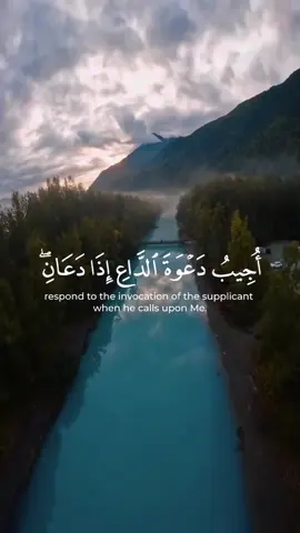 Beautiful Quran recitation by Umair Shamim #quran #quran_alkarim #quranrecitation #quranvideo #quranverses #islamic_video #islam #islamic #islamic_media #islamvideo #muslim #muslimtiktok #allah #prophetmuhammad #foryoupage #foryou #fyp #fypシ #fypシ゚viral #fypage #beautiful #umairshamim #glorious