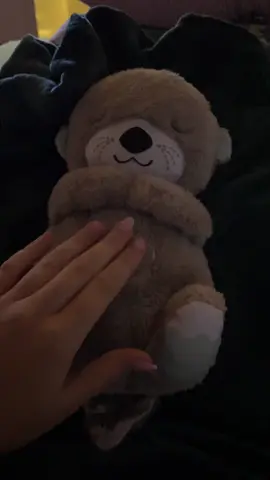 Einfach das süßeste Kuscheltier 🧸 ihr müsst euch den holen! #schlummerotter #breathingotter #fy #fyp #snuggleotter 