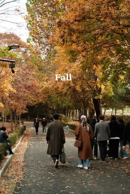 Fall🤝🏽♥️🥹🤎🍁  