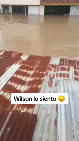 Wilson😰 #wilson #chicken #tsunami #fyp #viral #meme
