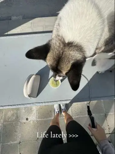 Loving life #fyp #happygirl 