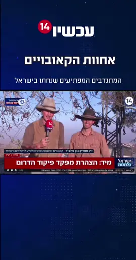 מהמערב הפרוע לחקלאות הישראלית: הקאובויים ממונטנה שבארה